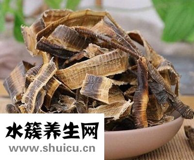 中药地龙的功效与作用