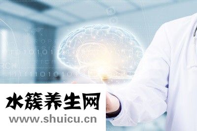 大脑养生