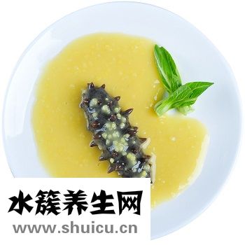 海参