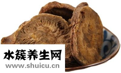 大黄图片