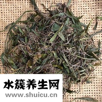 中药万年青的功效作用，很多人都不知道