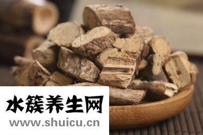乌骨藤