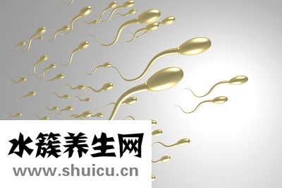 增加y精子最快的食物到底有哪些呢？