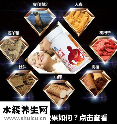 海狗人参丸成分