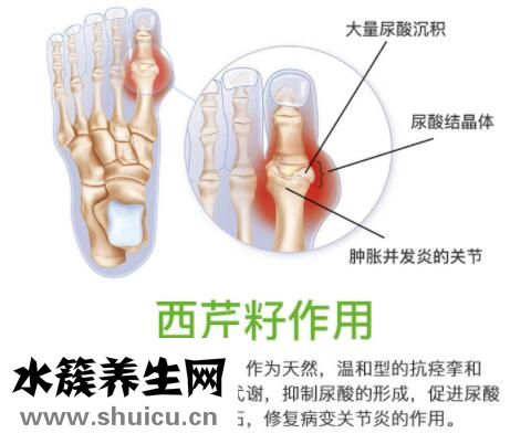 苯溴马隆片副作用