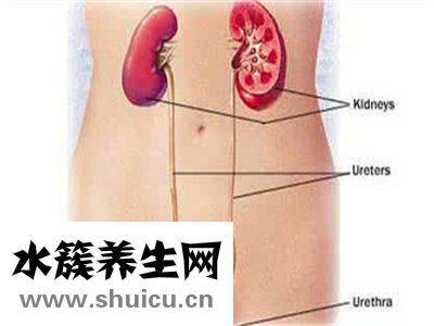 膀胱炎的明星们都穿紧身裤，裤子不紧，但医生看到却直摇头
