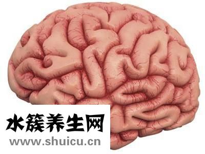 轻度脑萎缩