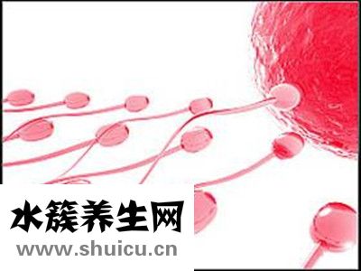 血精原因