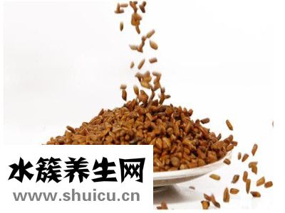 决明子和什么搭配最好