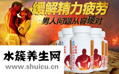 海狗丸的作用