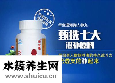 海狗丸的作用