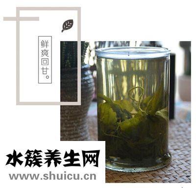绞股蓝茶多少钱一斤