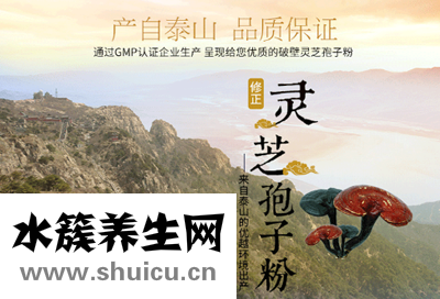 灵芝功效