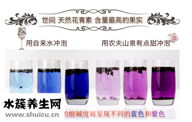 黑枸杞子泡水后PH值影响颜色变化