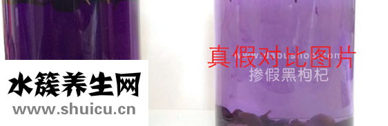 真假黑枸杞对比图
