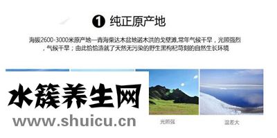 黑枸杞的功效与作用及食用方法