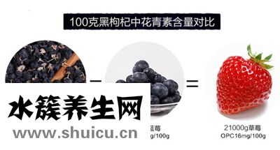 黑枸杞的功效与作用及食用方法