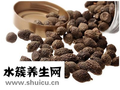 胖大海是什么
