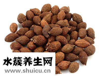 胖大海是什么
