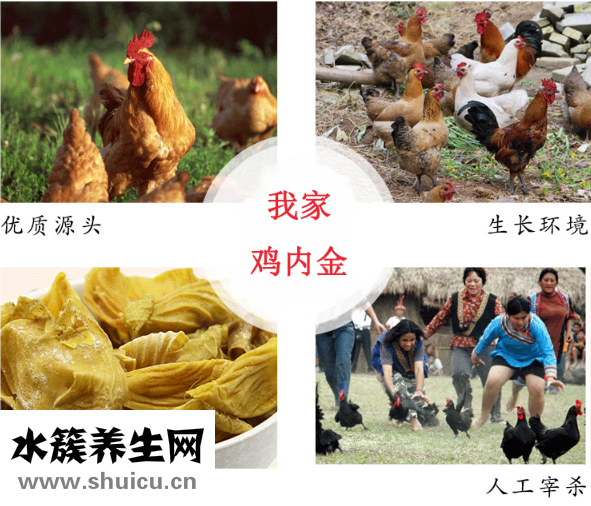 鸡内金的吃法