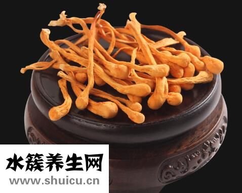 虫草.jpg