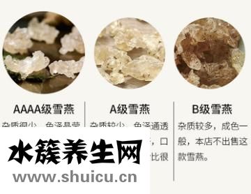 雪燕的功效