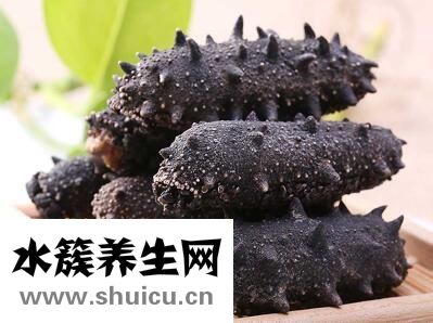 干海参如何保存