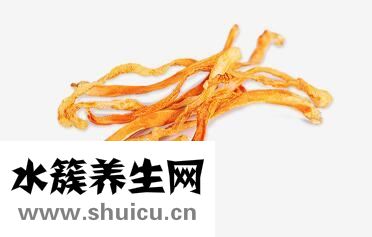 蛹虫草多少钱一斤 分享蛹虫草的最新价格