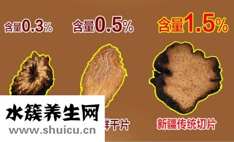 酒苁蓉