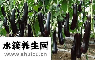 痛风吃什么好