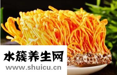 虫草花的正确吃法是什么 虫草花的煲汤注意事项有哪些