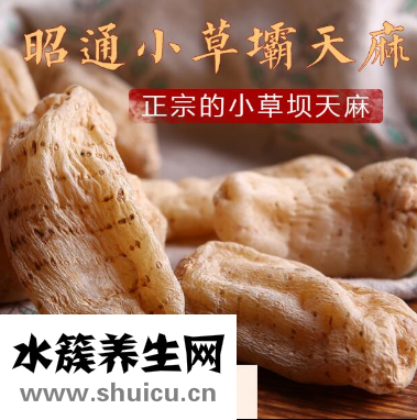 小草坝天麻