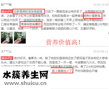 雪燕评论