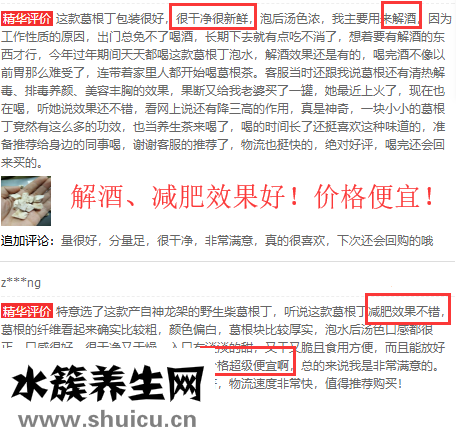 葛根丁的评价