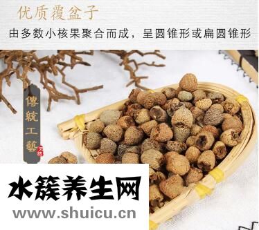 树莓和覆盆子的区别有哪些 教你正确区分它们