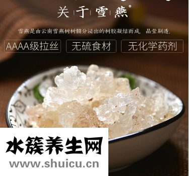 关于雪燕