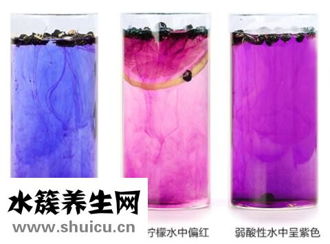 黑枸杞真假怎样辨别