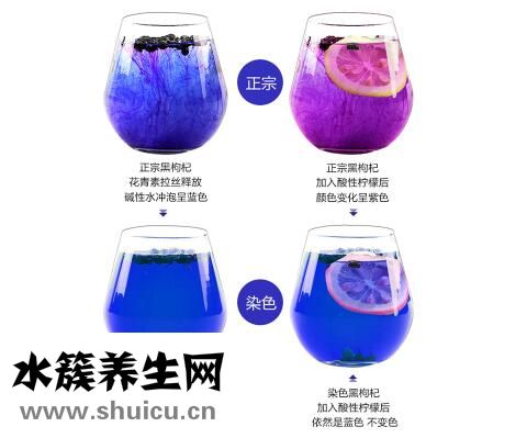 黑枸杞真假怎样辨别