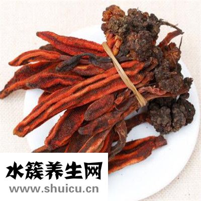回春草的功效与作用