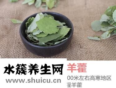 淫羊藿价格