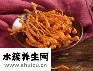 虫草花的功效与作用禁忌吃法有哪些 用虫草花的知识大全