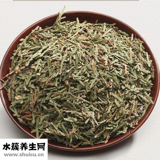 侧柏叶治疗白发的偏方是什么 白头发变黑竟如此简单