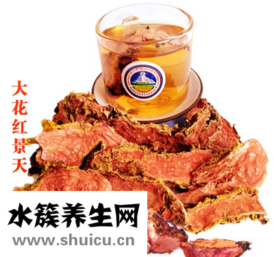 红景天泡水喝的功效和副作用 细述红景天的七大功效