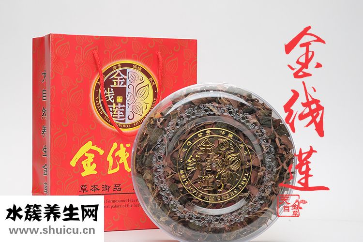 福建金线莲价格多少钱一斤  金线莲有何作用