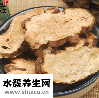 白术的副作用与禁忌   揭秘白术的功效