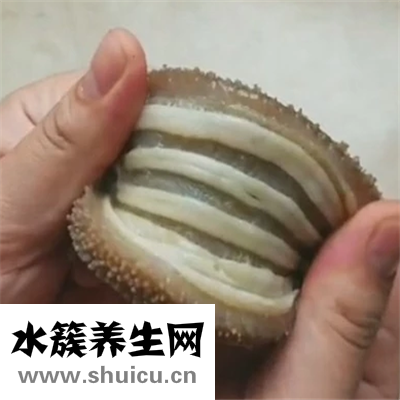 海参几个头的好 教你正确选购海参