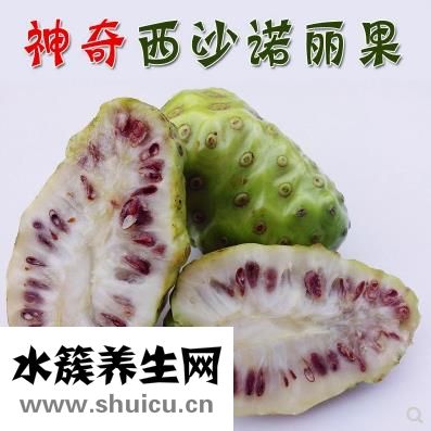 诺丽果的功效与作用 具体介绍诺丽果的四种功效