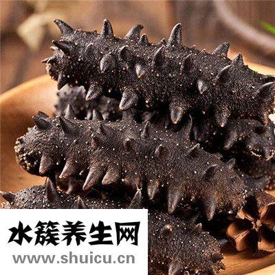 海参价格多少一斤