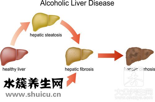 肝会疼吗
