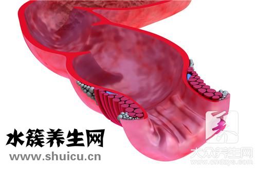 肛门脓肿办